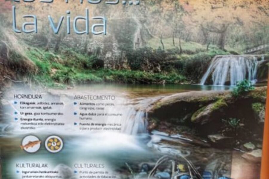 Ibaialde erakusketa San Juan Ikastetxean
