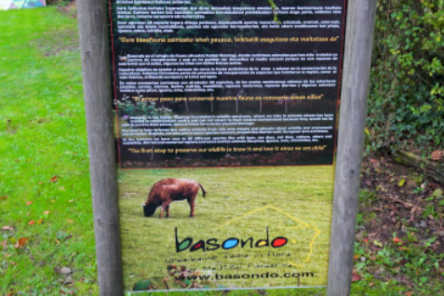 4 urte- Basondora txangoa