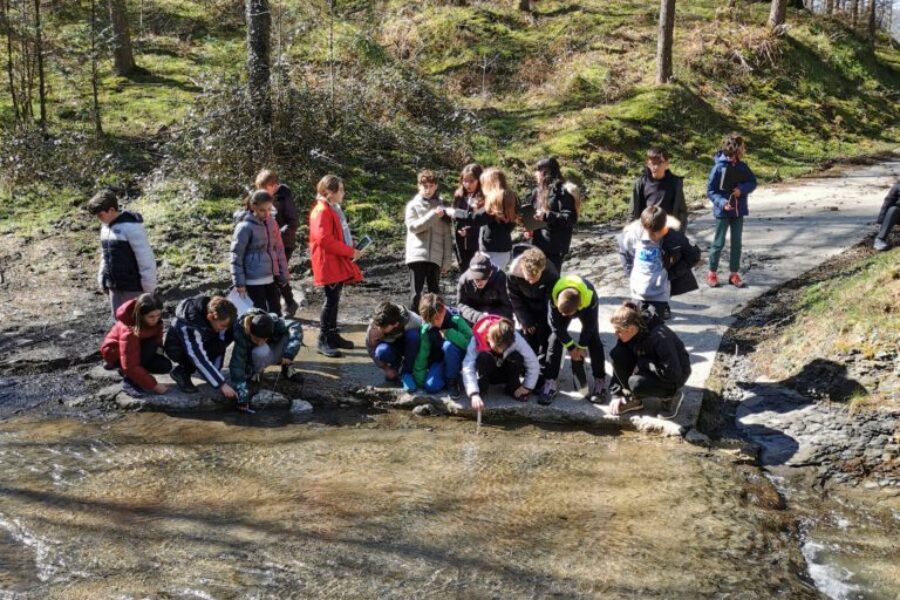 ¡Exploradores en acción! 5º de primaria en el Gorbea