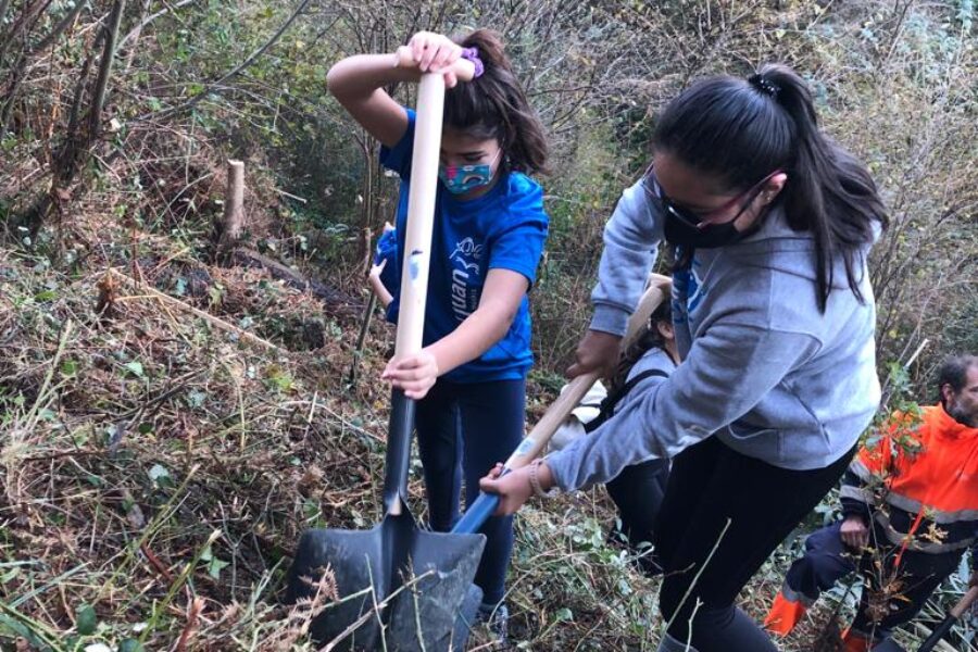 Reforestamos  Muskiz