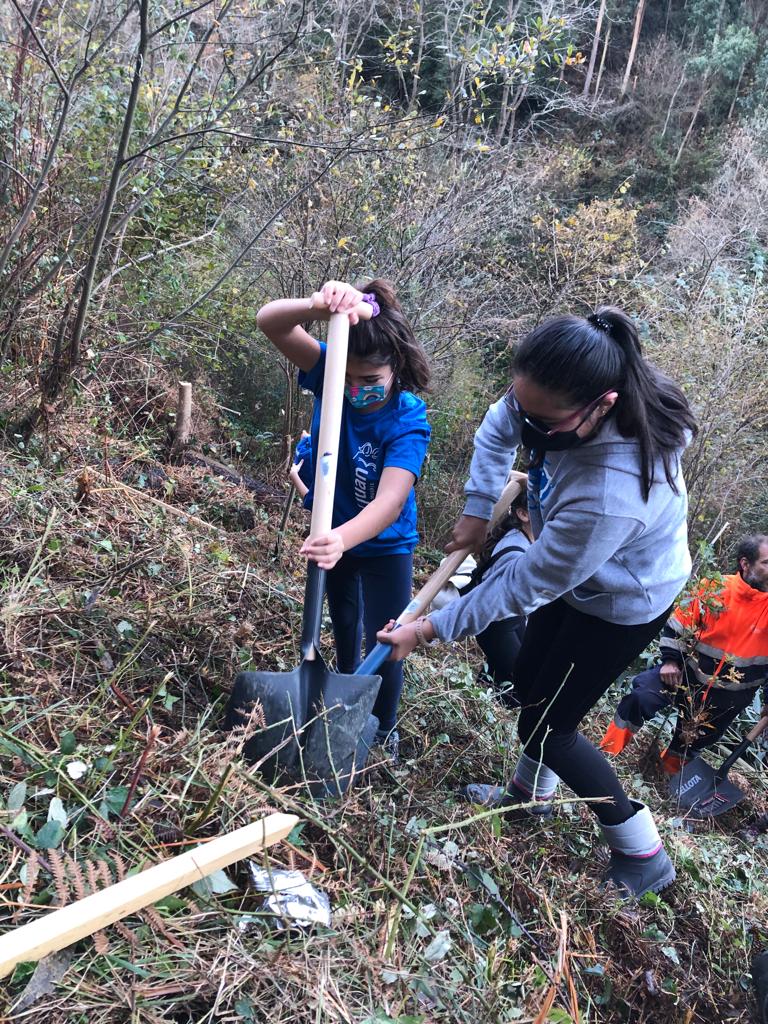 Reforestamos  Muskiz