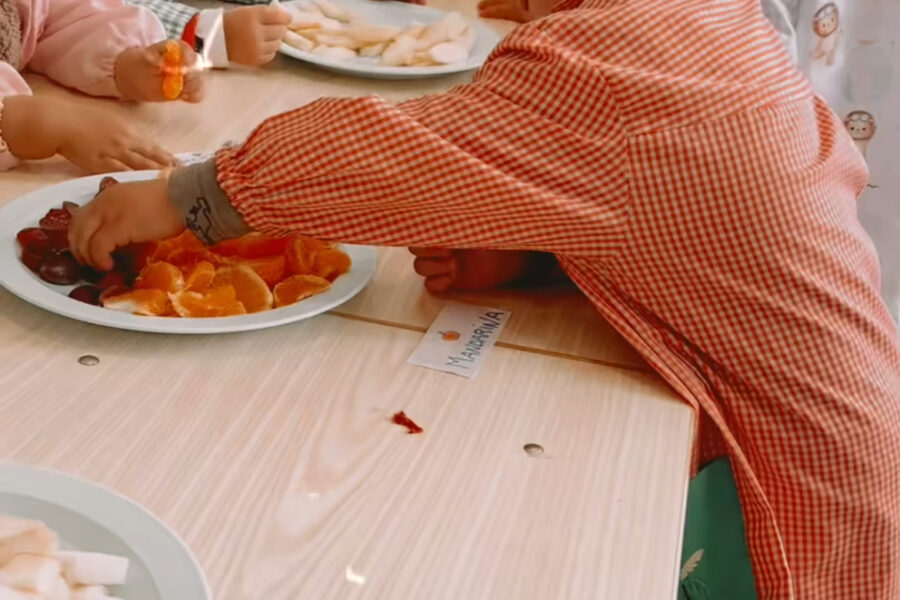 ¡Frutas para una vida sana!