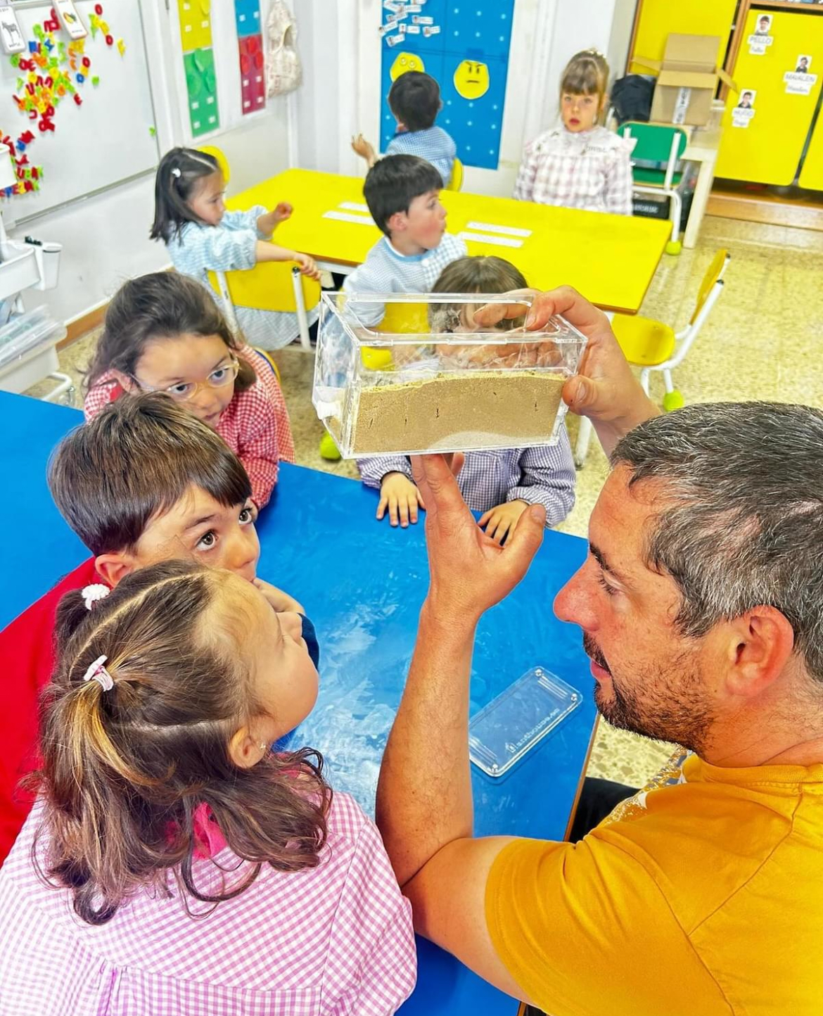 Taller de hormigas
