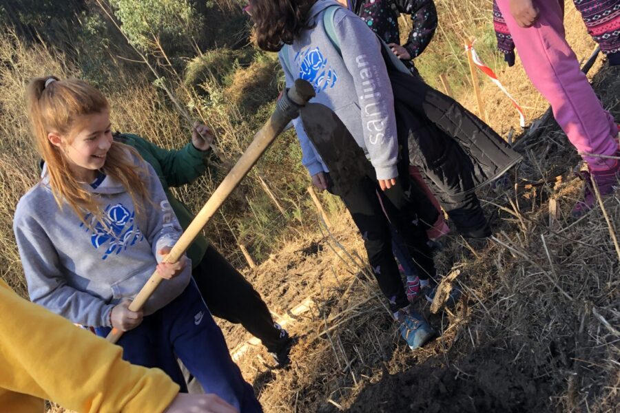 MELLO SARIA Solidario con sus montes