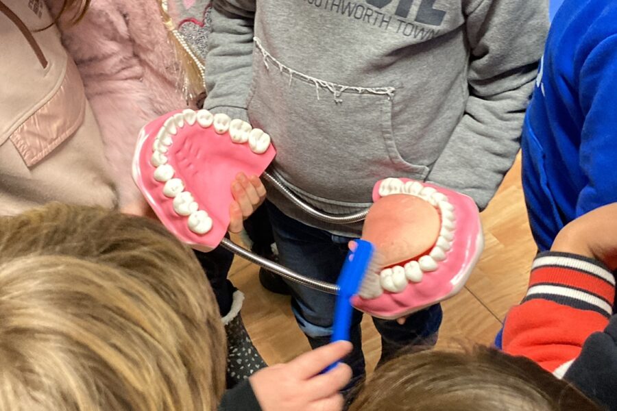How to take care of your teeth?