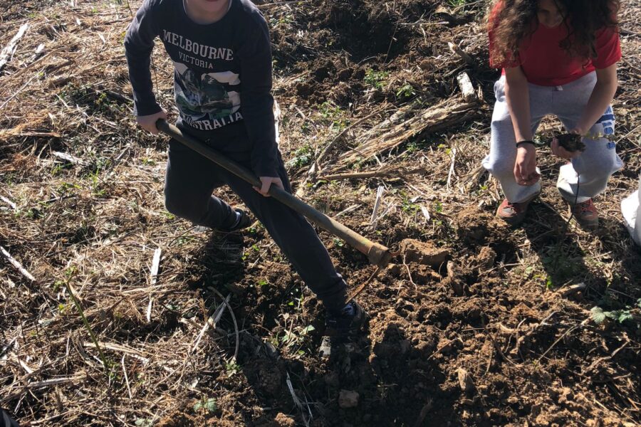 Guardianes del Medio Ambiente: Reforestamos el Monte Mello