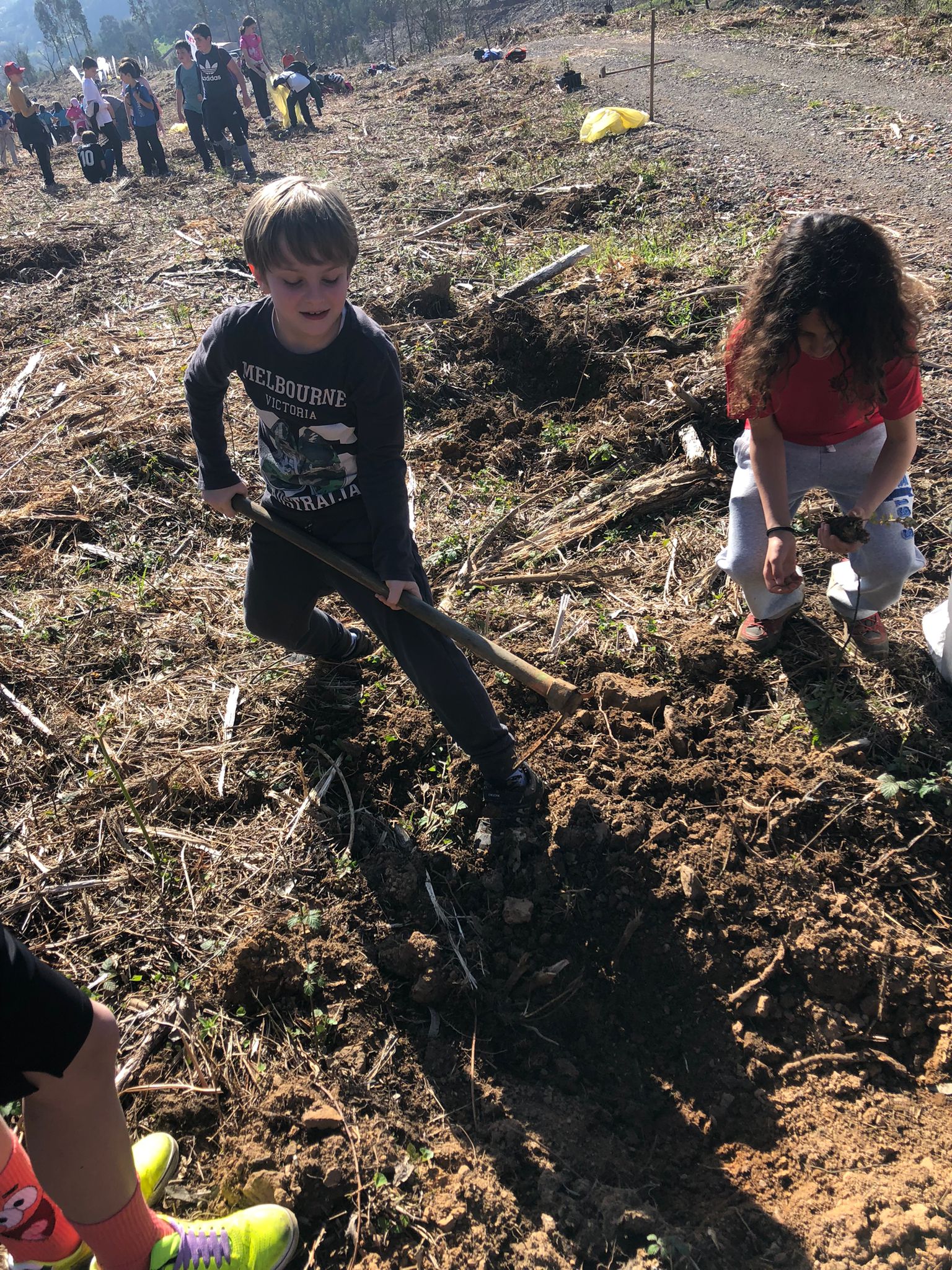 Guardianes del Medio Ambiente: Reforestamos el Monte Mello