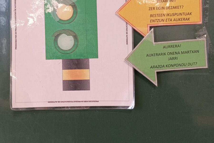 Gure emozioak zaintzea funtsezkoa da zoriontsu izateko!