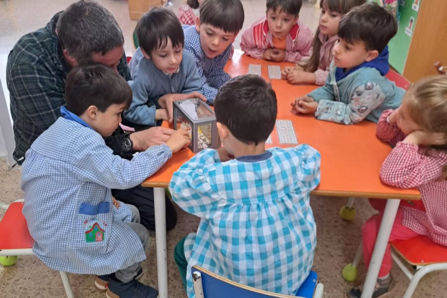 🐜🎨 ¡Taller de hormigas para nuestros peques! 🎨🐜