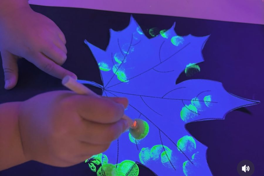 Udazkena zentzumenekin deskubritzen San Juan Ikastetxean