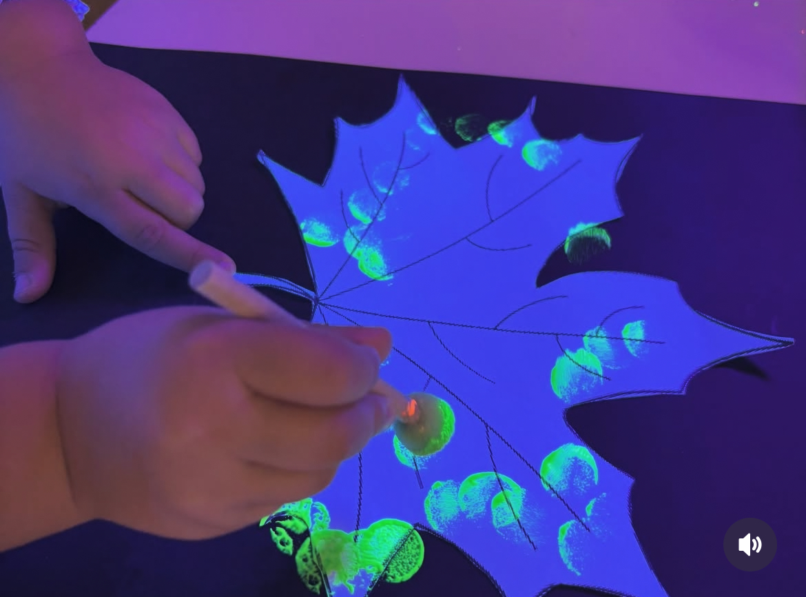 Descubriendo el otoño con los sentidos en San Juan Ikastetxea